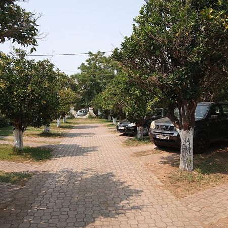 פרבזה Pension Alexandros מראה חיצוני תמונה
