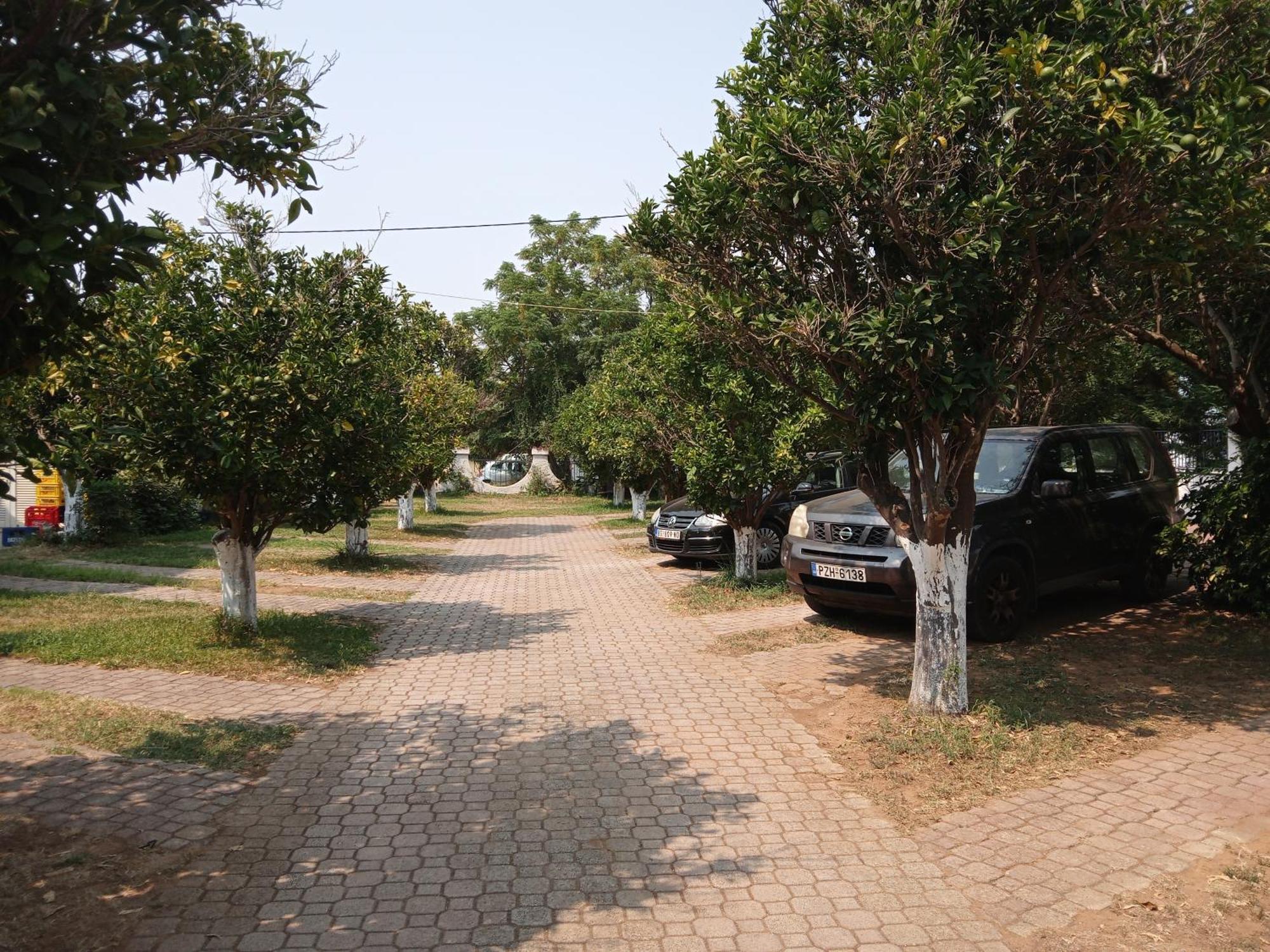 פרבזה Pension Alexandros מראה חיצוני תמונה